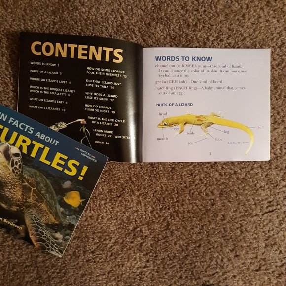 Turtle/Lizard Fun Book Bundle For Kids - Picture 3 of 6